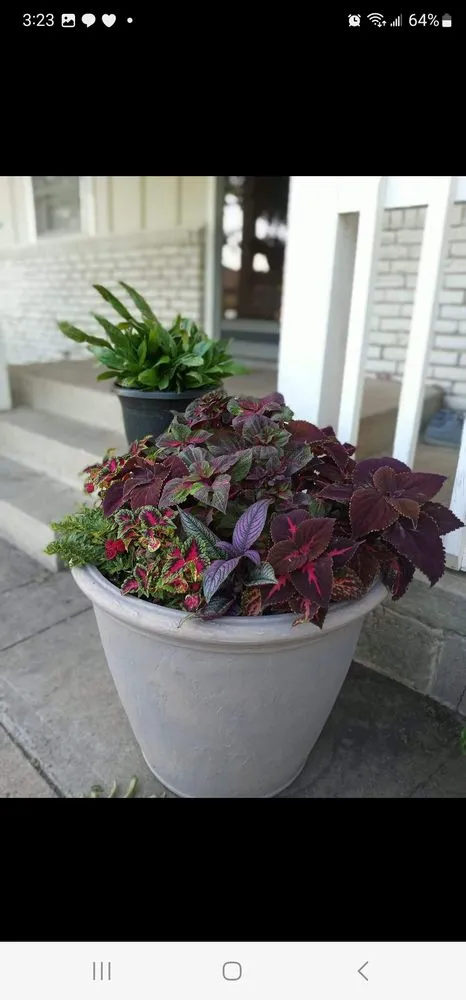 Custom residential landscaping with custom design across Coffeyville, KS - Heyyyy Buddddy Services