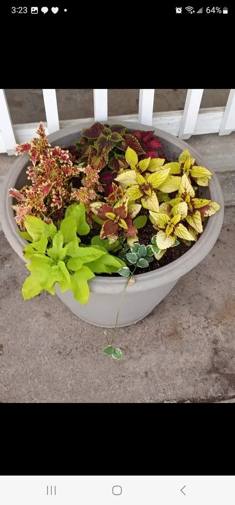 Trusted outdoor landscaping for outdoor upgrades across Coffeyville, KS - Heyyyy Buddddy Services