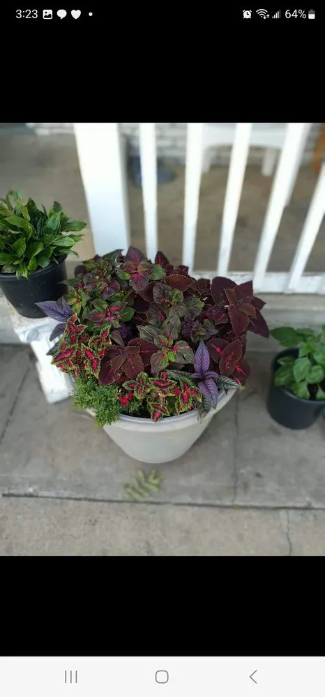 Reliable outdoor landscaping in Coffeyville, KS - Heyyyy Buddddy Services