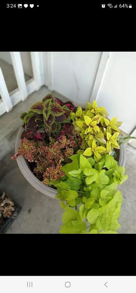 Local landscape design for outdoor upgrades in Coffeyville, KS by Heyyyy Buddddy Services