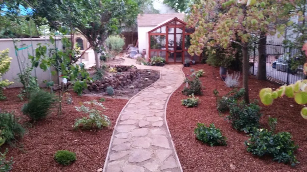Reliable yard cleanup service experts serving West Sacramento, CA - HF Gardening