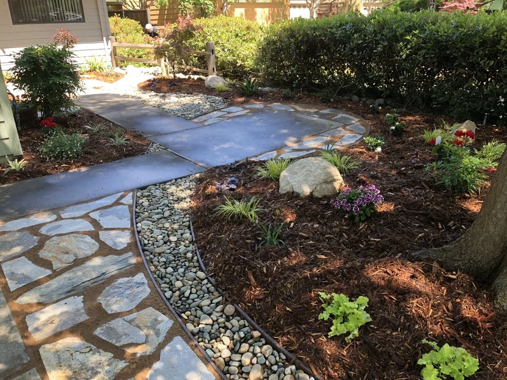 Professional yard cleanup service experts serving West Sacramento, CA - HF Gardening