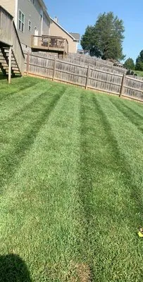 HF Landscape and Design