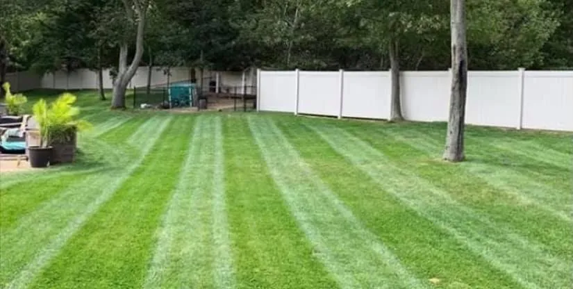 Top-rated landscaping services in Edison, NJ - HF Landscaping