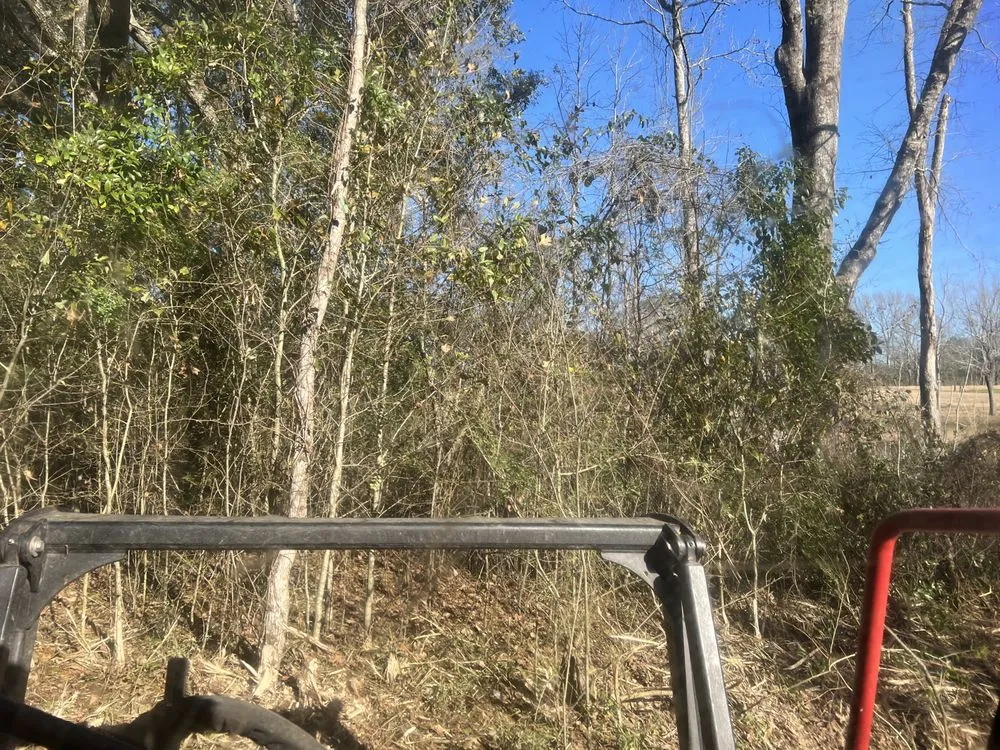 Local yard maintenance experts serving Lucedale, MS - HFM Land Clearing