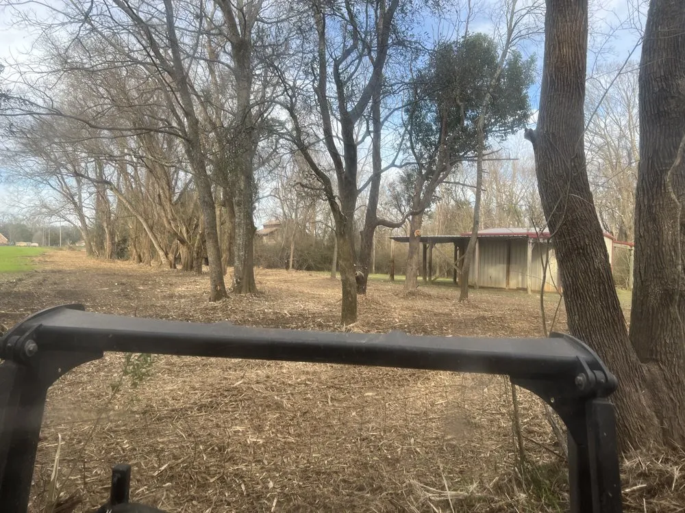 Reliable lawn mowing service experts serving Lucedale, MS - HFM Land Clearing