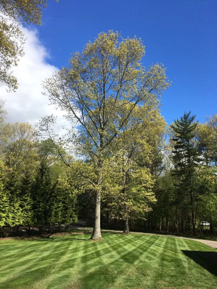 Reliable outdoor landscaping in Haddam, CT by H.G. Andeen