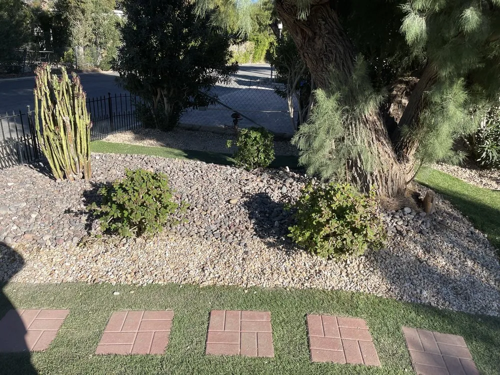 Professional yard cleanup service with custom design in Cathedral City, CA by H&G Demolition N Construction