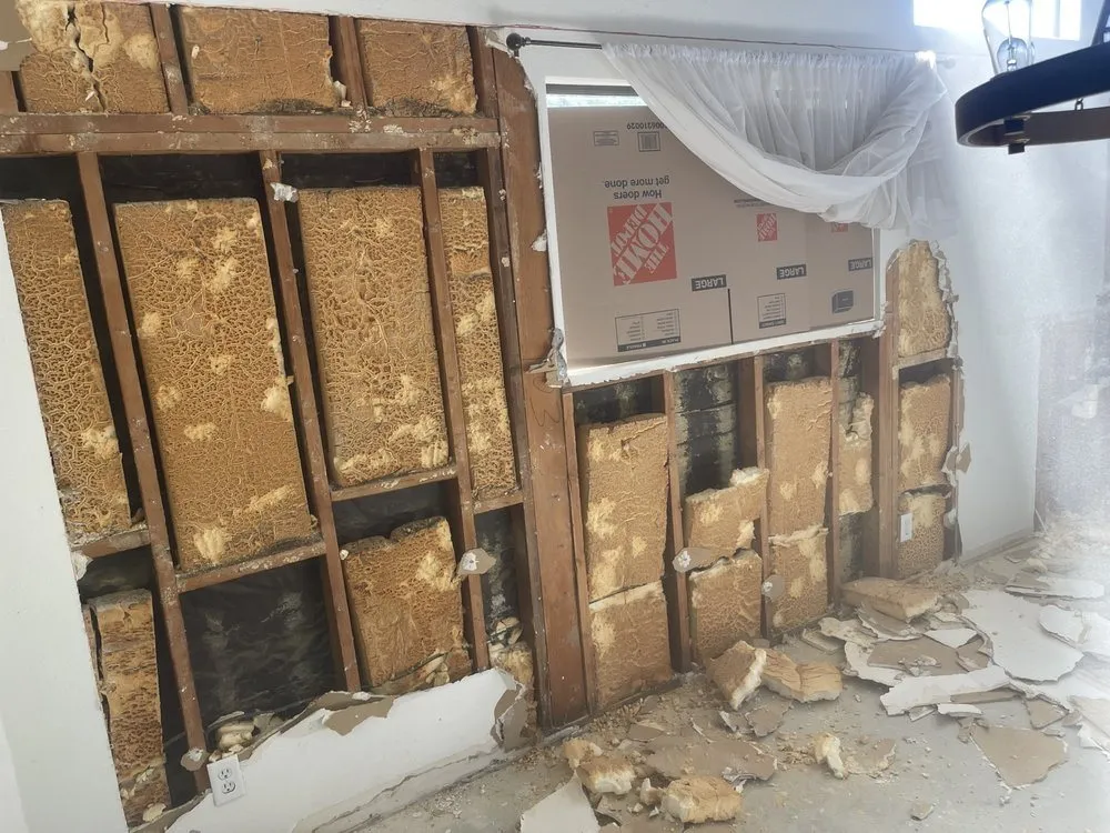 Top-rated lawn care service in Cathedral City, CA - H&G Demolition N Construction