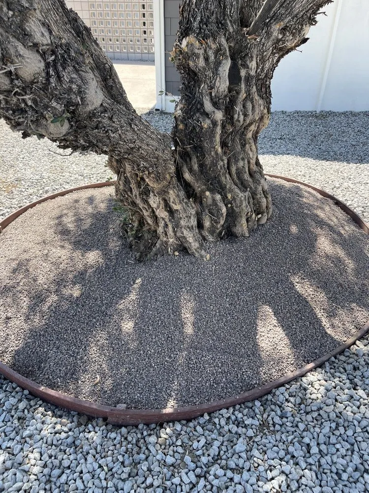 Local residential landscaping for homes across Cathedral City, CA - H&G Demolition N Construction