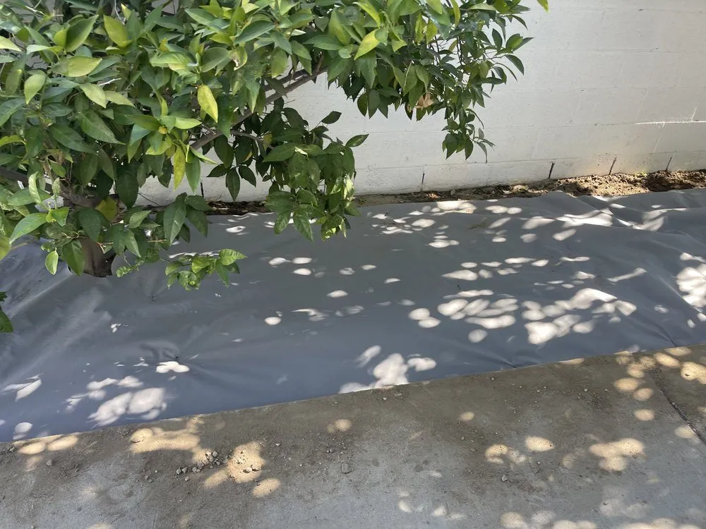 Reliable landscape design in Cathedral City, CA by H&G Demolition N Construction