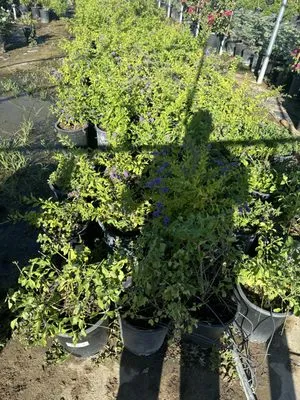 H&G Demolition N Construction Logo