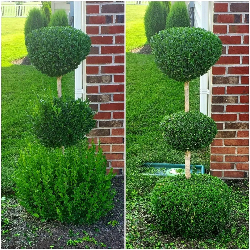 Expert garden landscaping with custom design across Herndon, VA - HG Grass Care