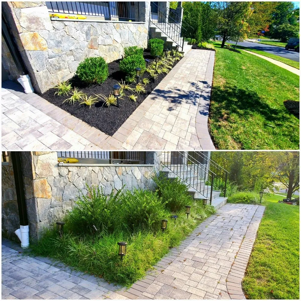 Professional yard cleanup service in Herndon, VA - HG Grass Care