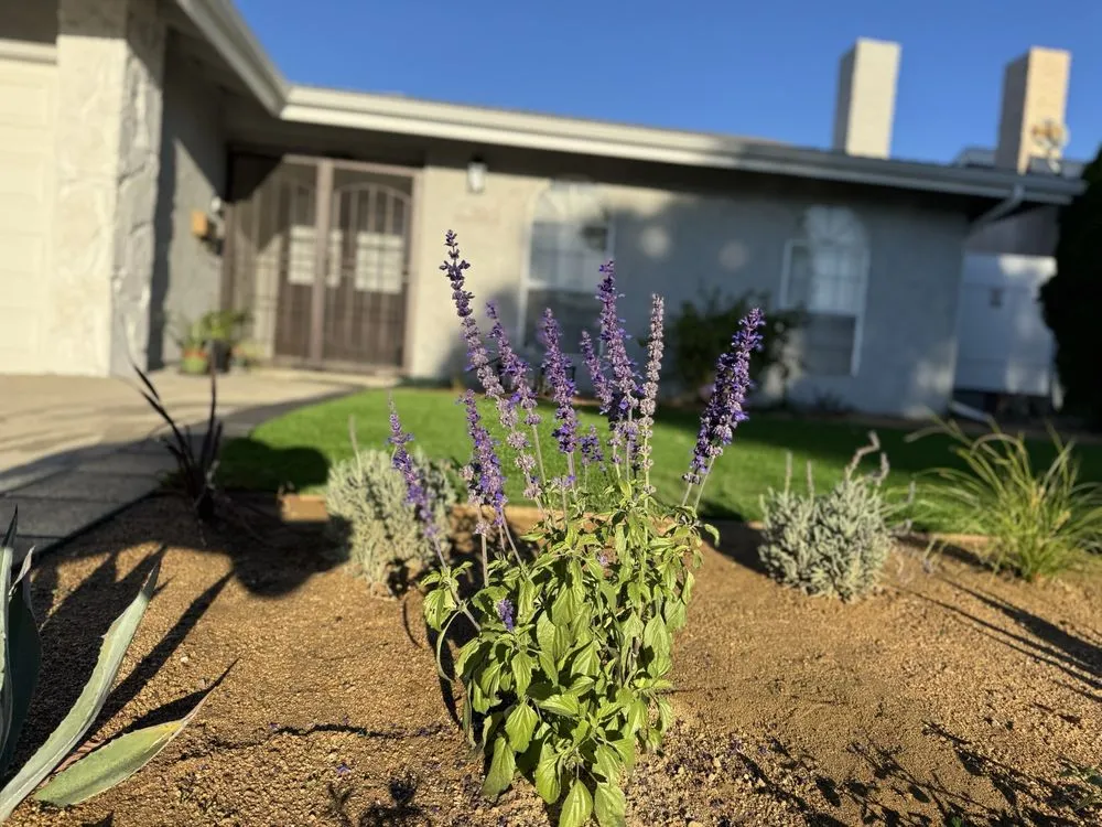 Custom landscape design in Santa Clarita, CA - HG Landscape