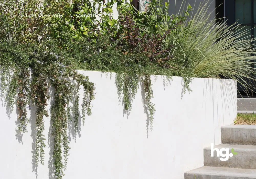 Trusted lawn care service for beautiful yards across Santa Clarita, CA - HG Landscape