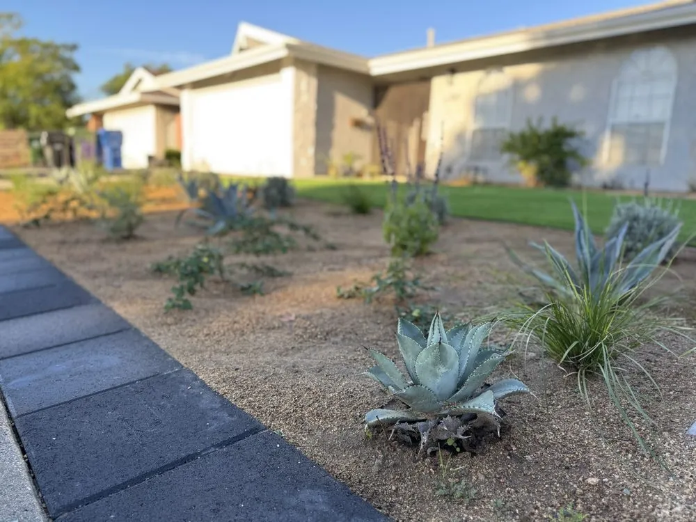 Affordable lawn care service for year-round maintenance in Santa Clarita, CA by HG Landscape