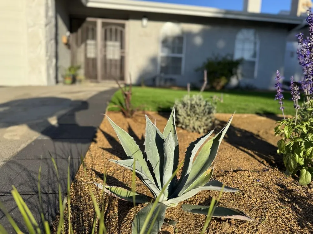 Expert lawn care service in Santa Clarita, CA by HG Landscape