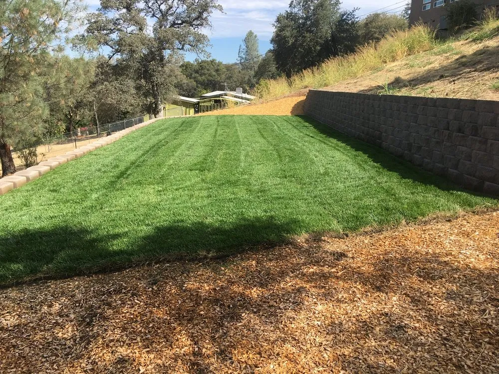 Professional lawn care service near you in Palermo, CA by HG LANDSCAPES