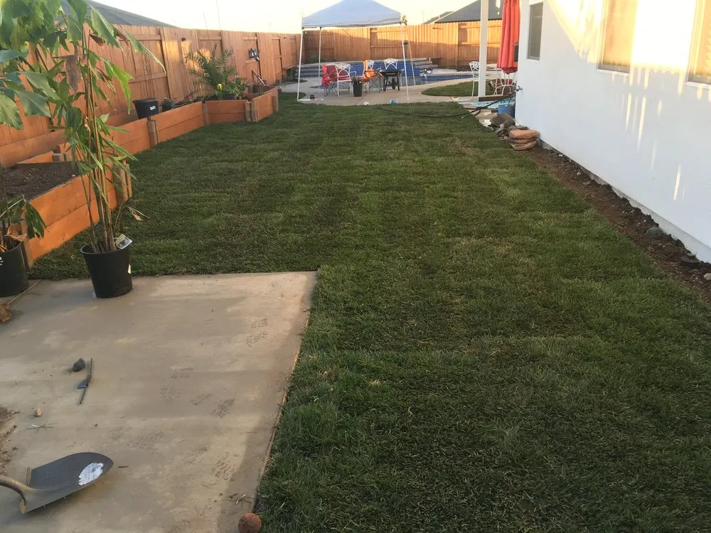 Custom lawn care service for year-round maintenance across Palermo, CA - HG LANDSCAPES