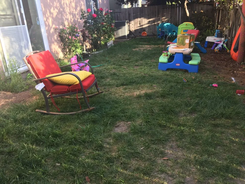 Affordable lawn care service in Palermo, CA - HG LANDSCAPES