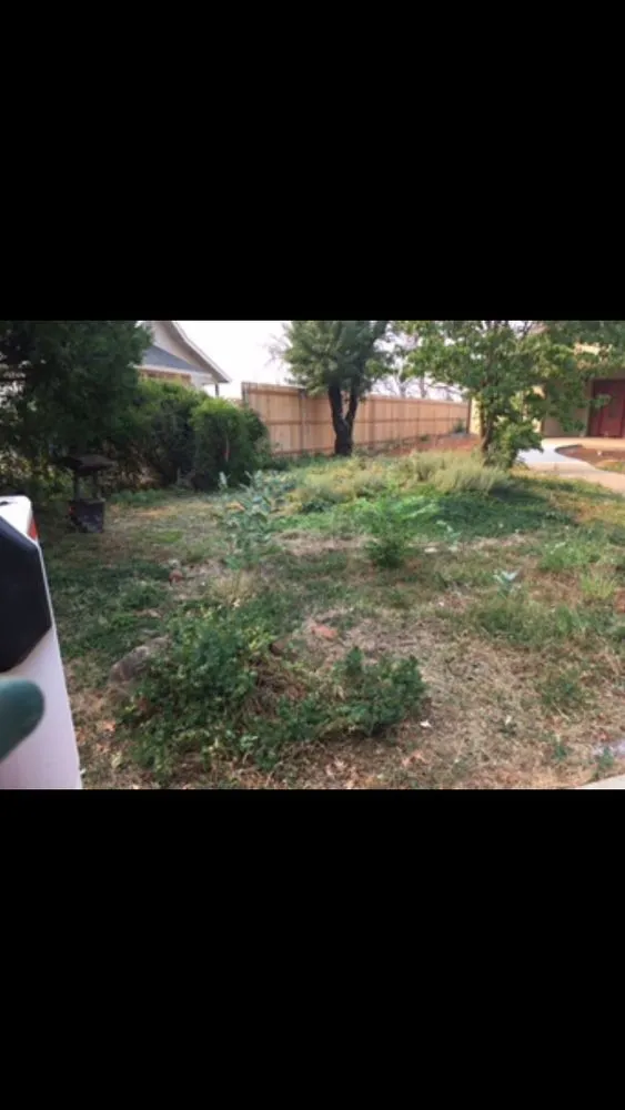 Custom yard cleanup service experts serving Palermo, CA - HG LANDSCAPES