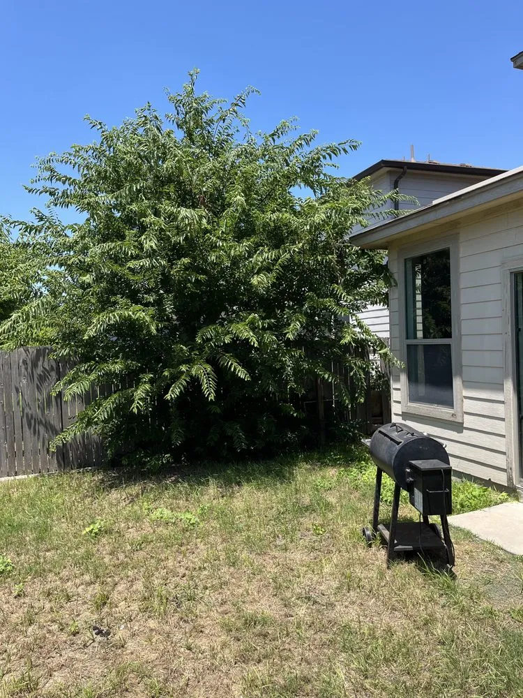 Local landscape installation in Manor, TX - HG Lawn And Landscape