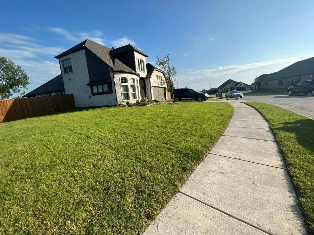 Trusted yard cleanup service in Blue Ridge, TX - HG Lawn Service