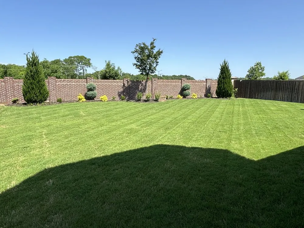 Reliable outdoor landscaping for beautiful yards across Blue Ridge, TX - HG Lawn Service