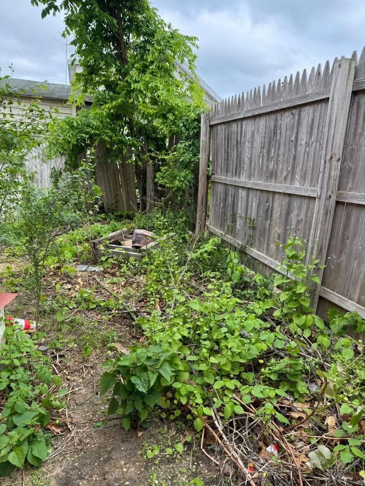 Local yard cleanup service near you across Albany, NY - HG Services