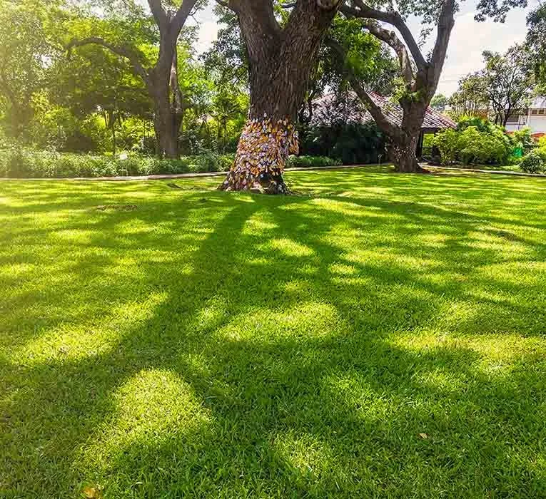 Trusted garden landscaping in Leesburg, VA by HGB Landscaping