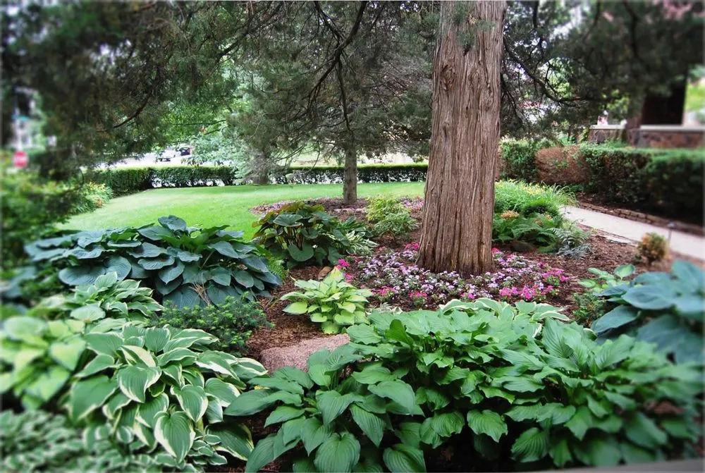 Top-rated landscape design for beautiful yards in Leesburg, VA by HGB Landscaping