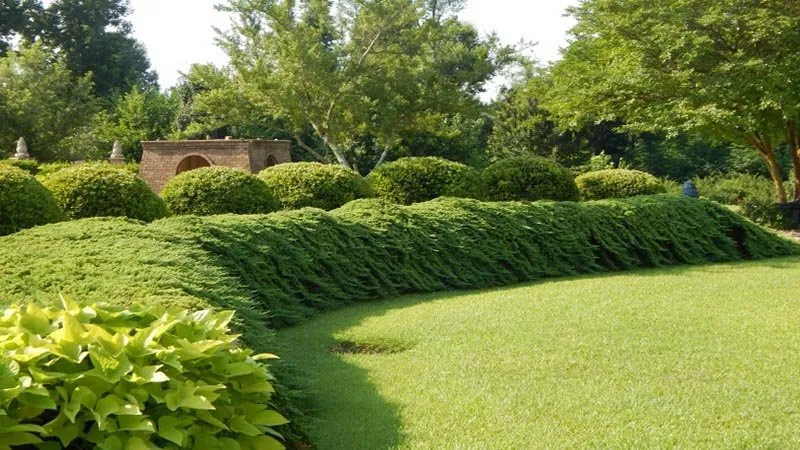 Custom outdoor landscaping in Leesburg, VA - HGB Landscaping