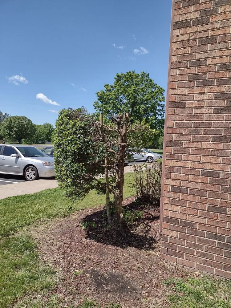 Trusted garden landscaping experts serving Greenbrier, TN - Hgg Lawncare Landscaping