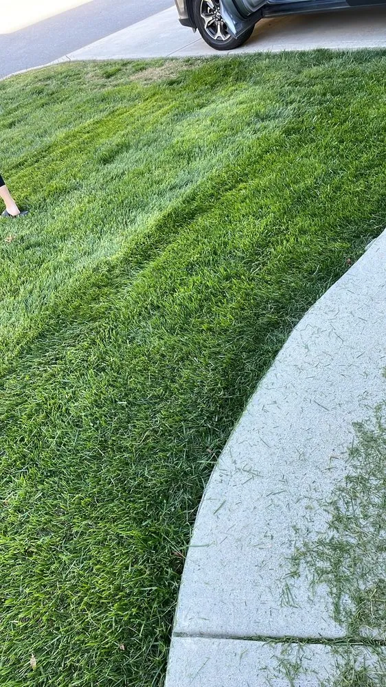 Affordable landscaping services experts serving Powell, TN - Hglpm