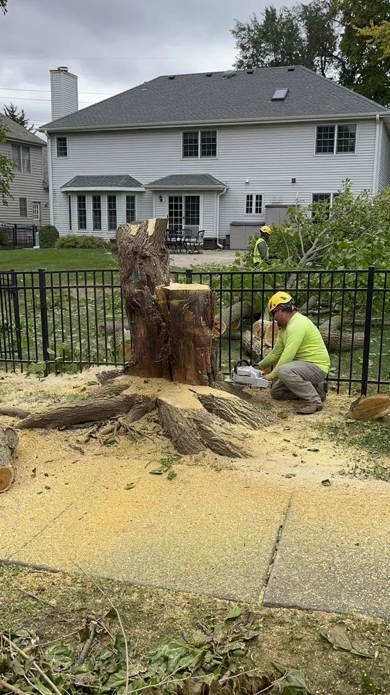 Expert landscape design in Elburn, IL by HGTS