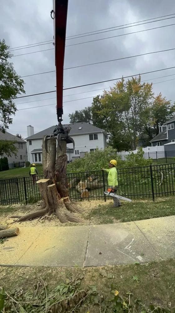 Affordable lawn care service with custom design in Elburn, IL by HGTS