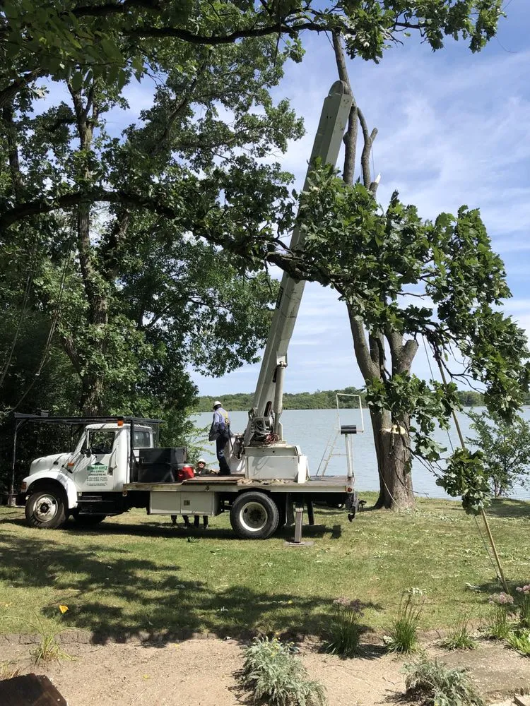Expert yard cleanup service experts serving Elburn, IL - HGTS