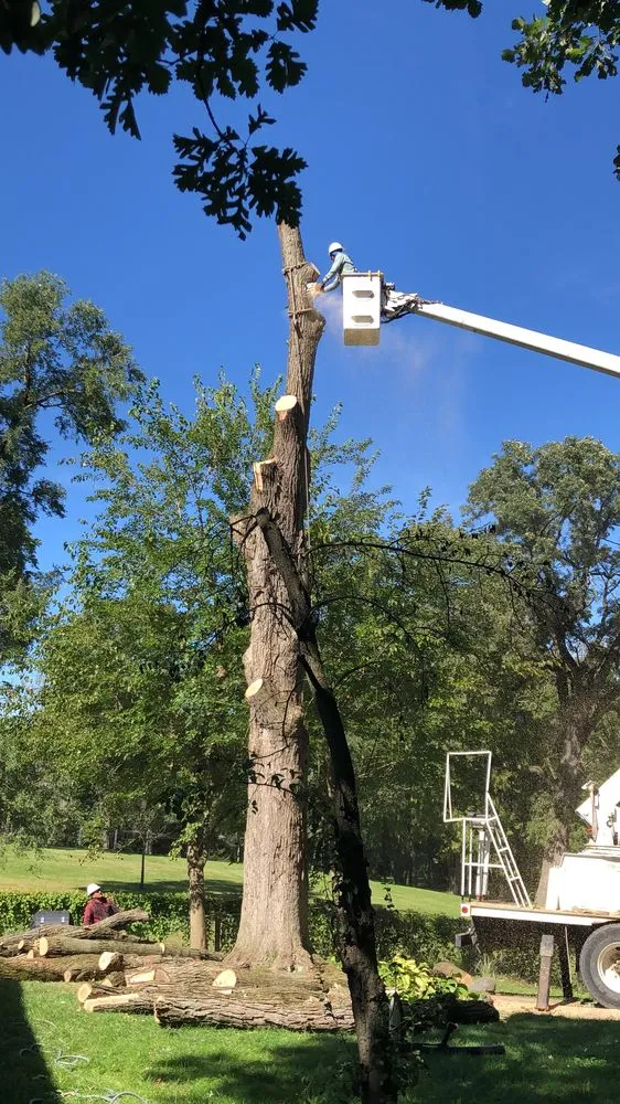 Expert landscaping services for beautiful yards across Elburn, IL - HGTS