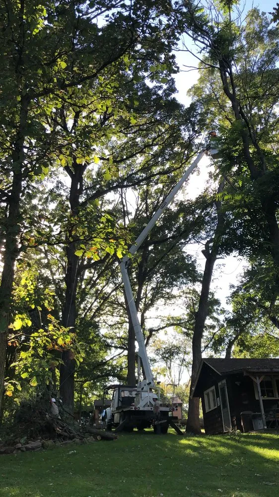 Top-rated yard cleanup service for beautiful yards in Elburn, IL by HGTS