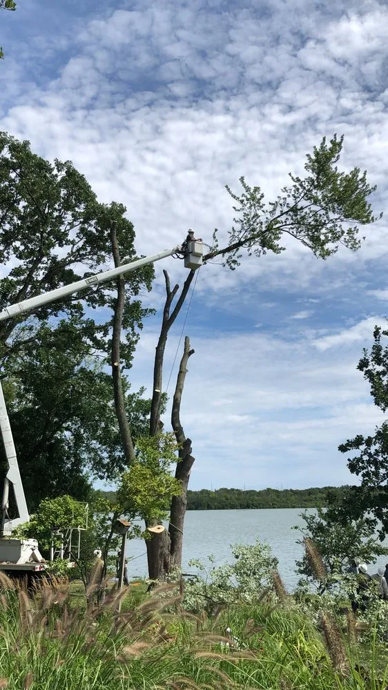 Local outdoor landscaping experts serving Elburn, IL - HGTS