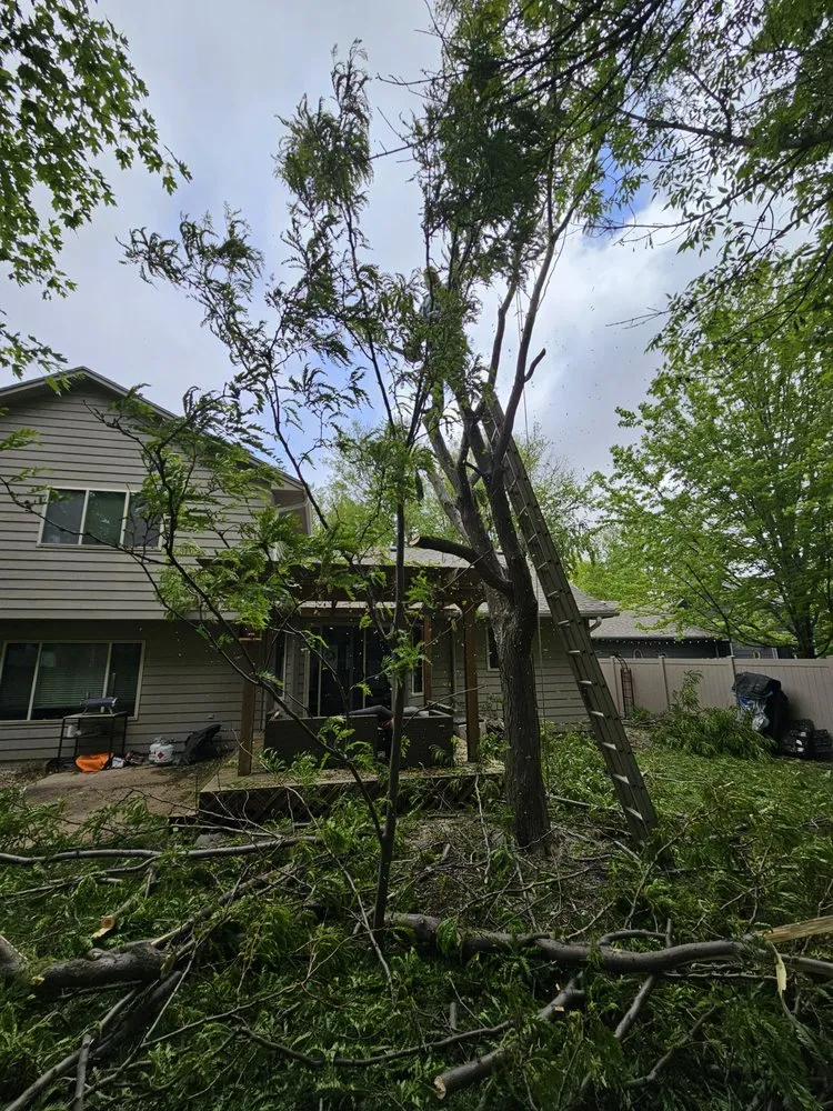 Top-rated yard cleanup service for outdoor upgrades in Crooks, SD by H&H All Service