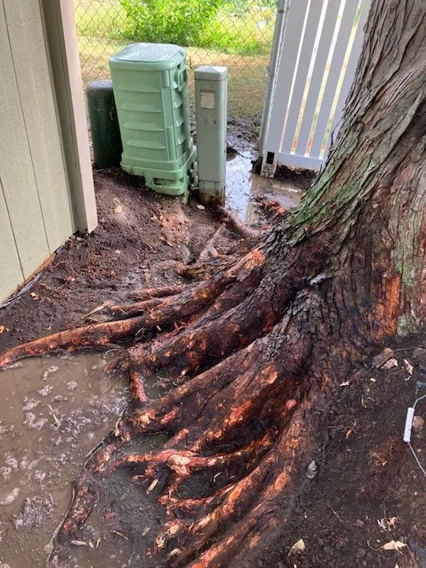 Local yard cleanup service in Crooks, SD - H&H All Service