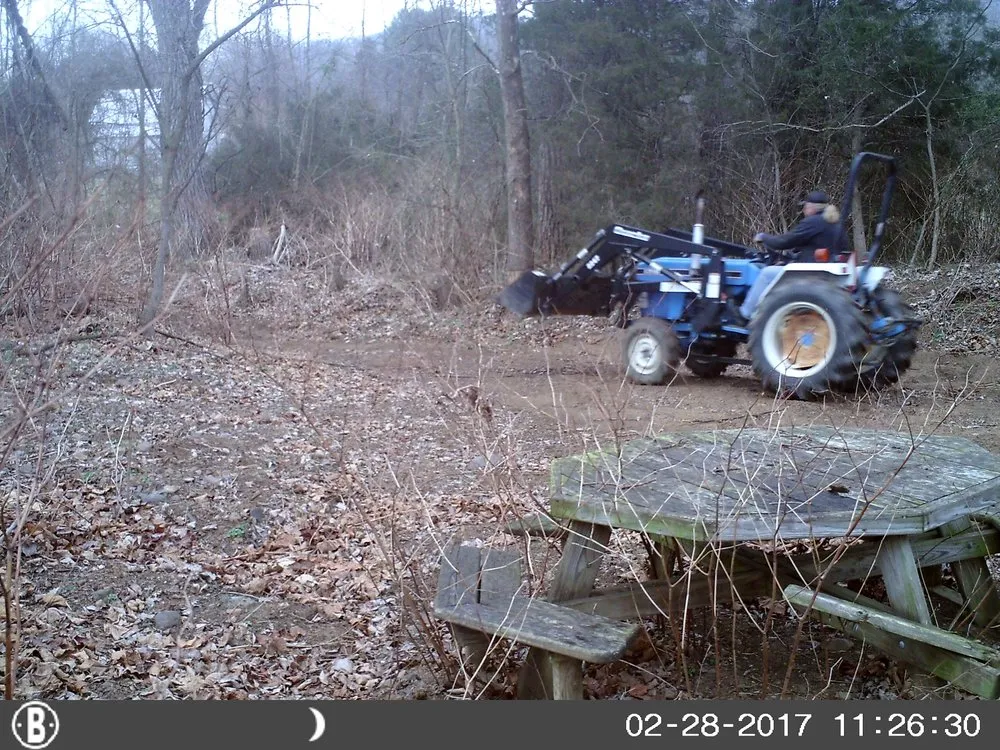 Affordable yard cleanup service for year-round maintenance in Luray, VA by H@H Enterprise