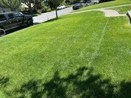Top-rated lawn mowing service for outdoor upgrades in Griffin, GA by H&H land Consultants