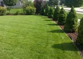 Reliable landscaping services for residential properties in Griffin, GA by H&H land Consultants
