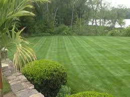 Reliable yard maintenance for homes in Griffin, GA by H&H land Consultants