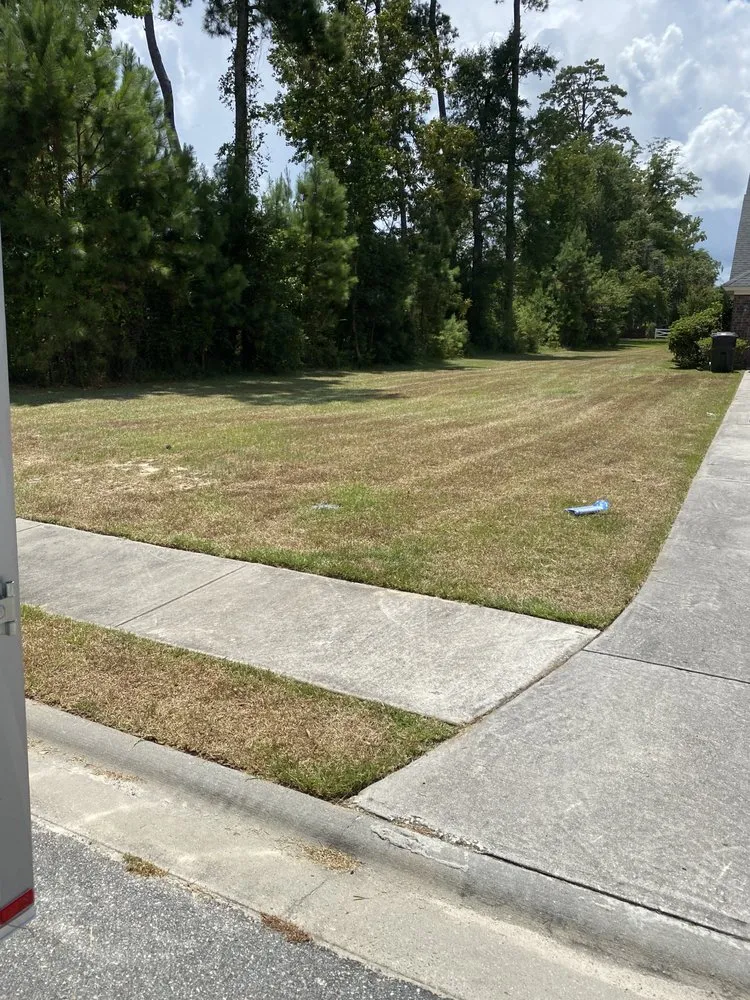 Affordable landscape design for beautiful yards in Savannah, GA by H&H Landscapes