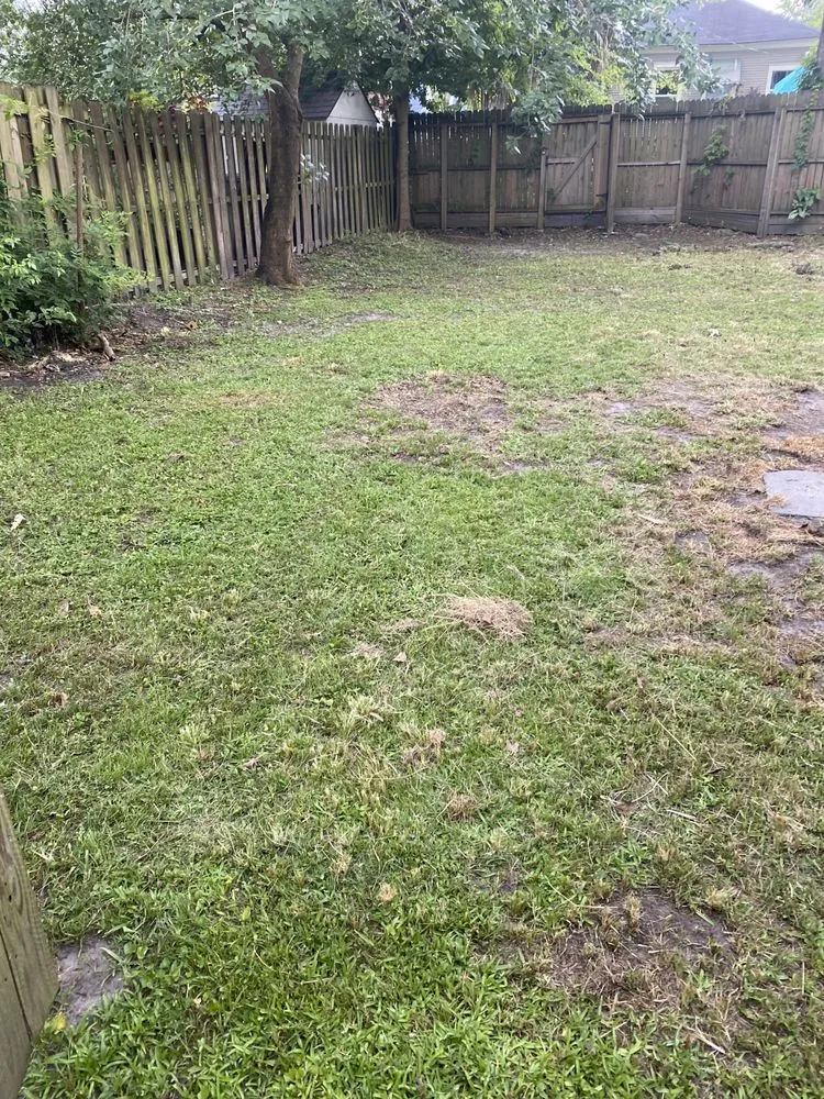 Expert residential landscaping in Savannah, GA - H&H Landscapes