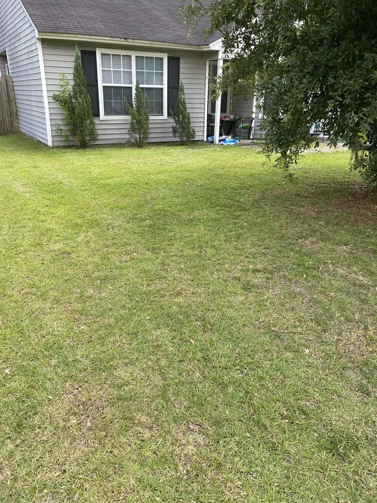 Reliable lawn care service with custom design across Savannah, GA - H&H Landscapes